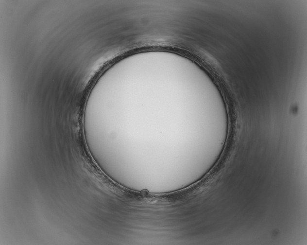 X0000116271218200912211751