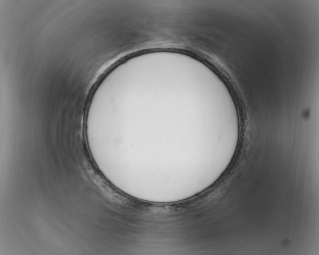 X0000116271220200912211751