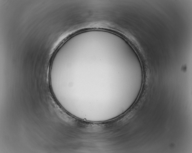 X0000116271224200912211751