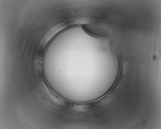 X0000116271225200912211751