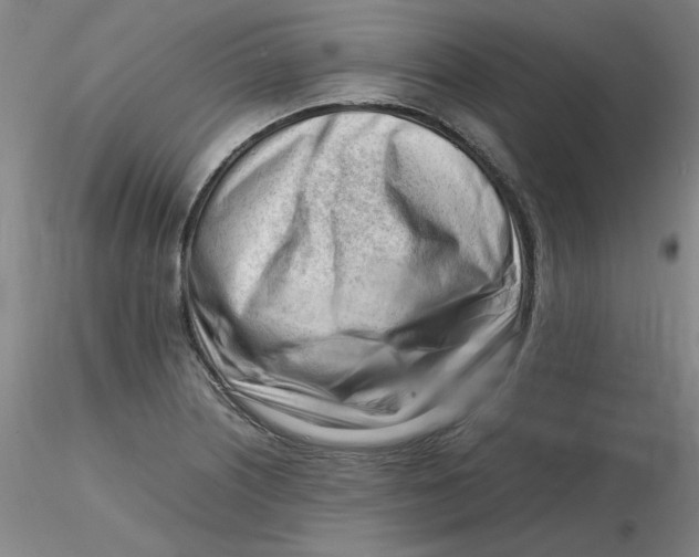 X0000116271226200912211751