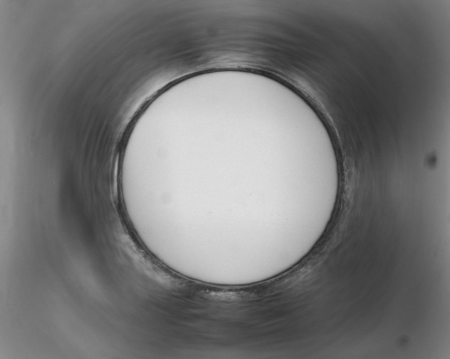 X0000116271227200912211751
