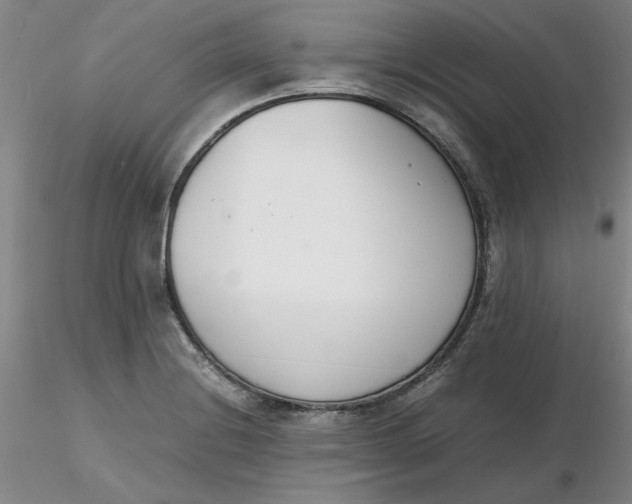 X0000116271228200912211751