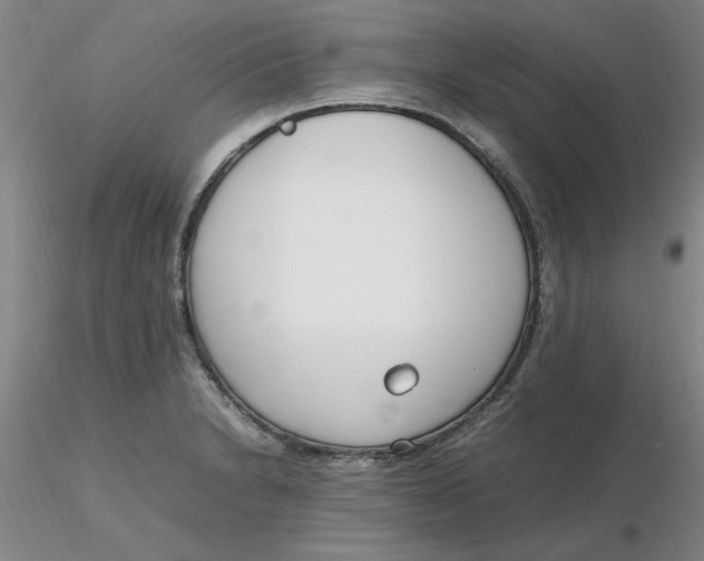 X0000116271230200912211751