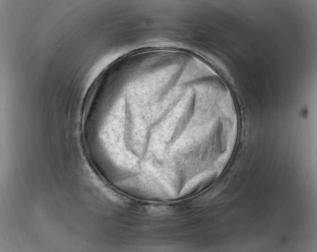 X0000116271231200912211751