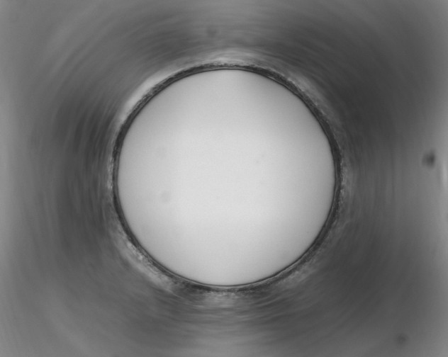 X0000116271232200912211751