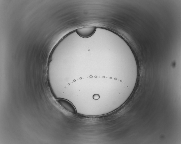 X0000116271236200912211751