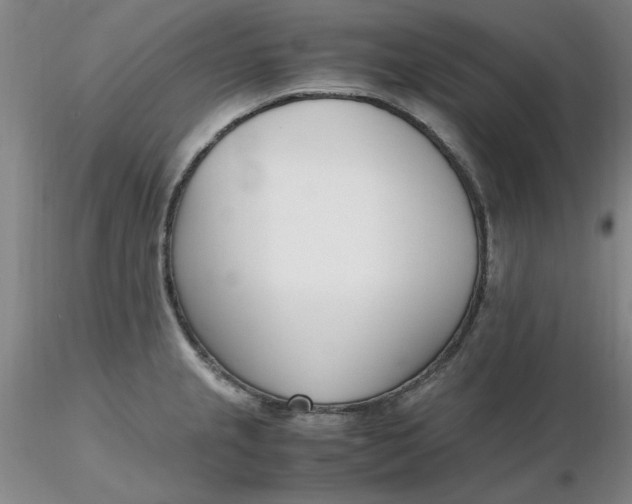 X0000116271237200912211751