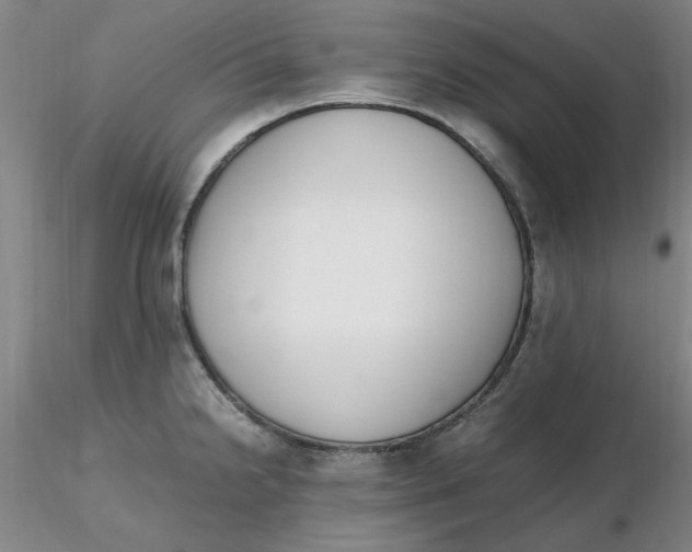 X0000116271238200912211751