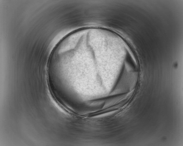 X0000116271239200912211751