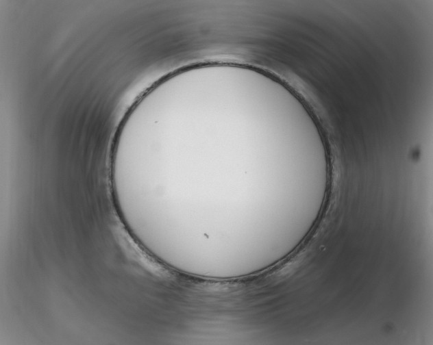 X0000116271240200912211751