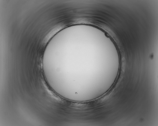 X0000116271241200912211751