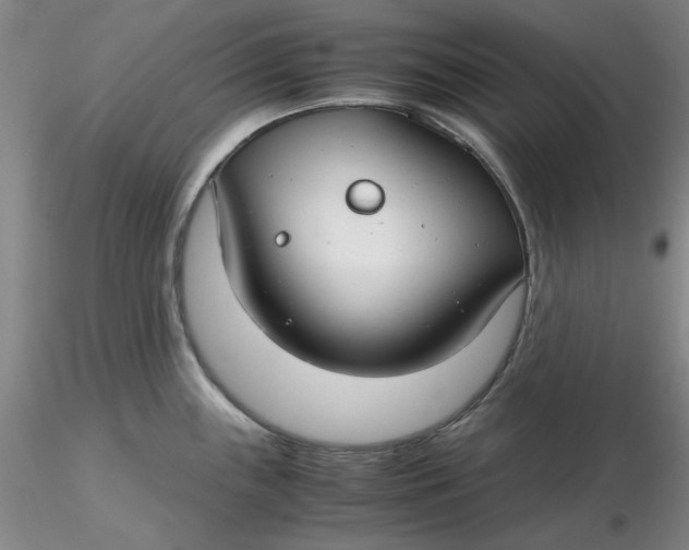 X0000116271243200912211751
