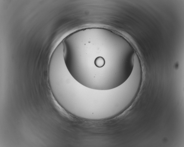 X0000116271244200912211751