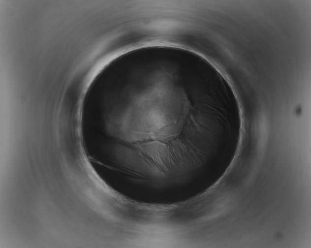 X0000116271246200912211751