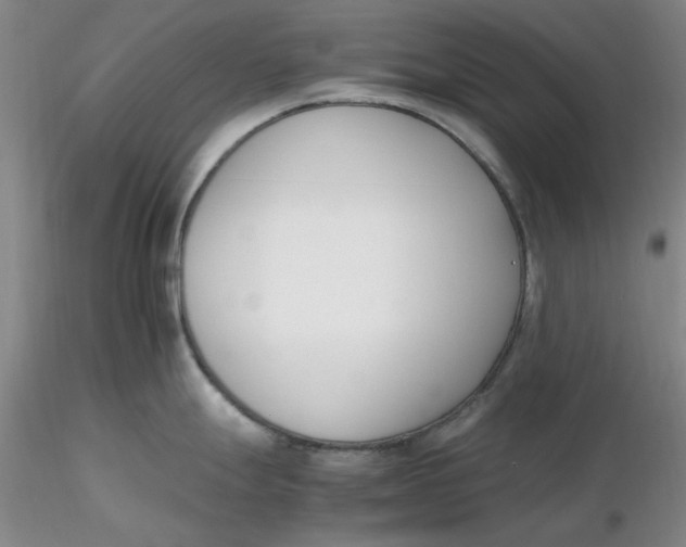 X0000116271247200912211751