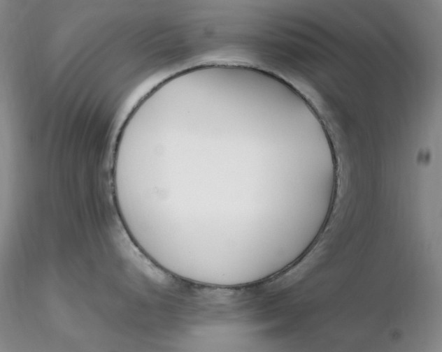 X0000116271248200912211751