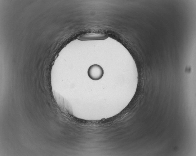 X0000116271249200912211750