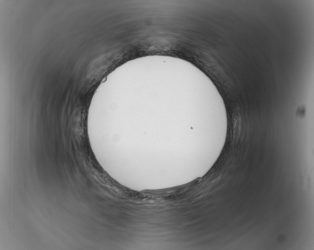 X0000116271250200912211750