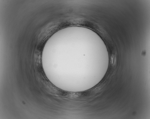 X0000116271251200912211750