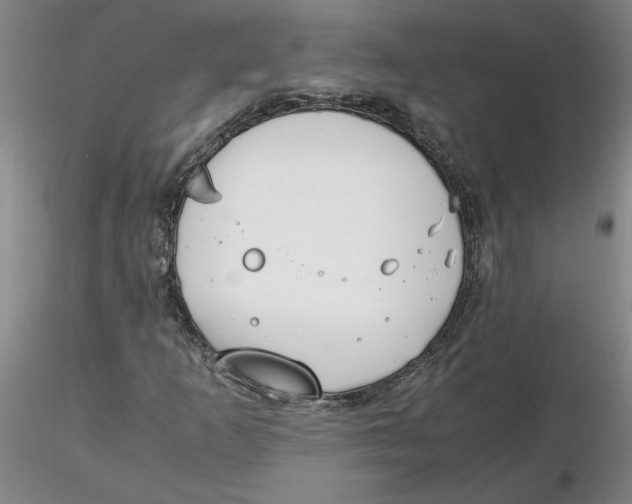 X0000116271253200912211750