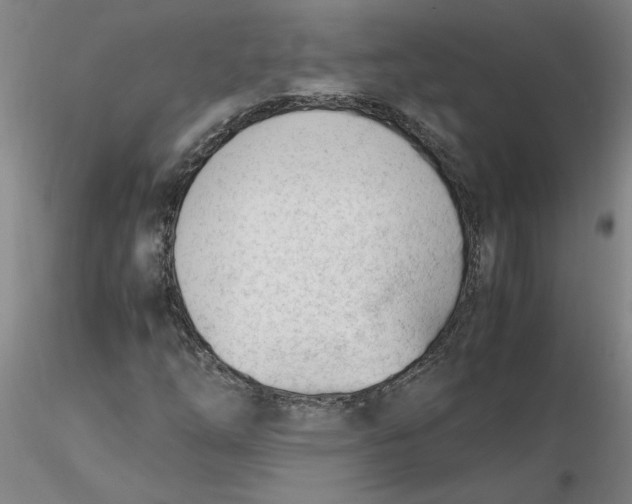 X0000116271254200912211750