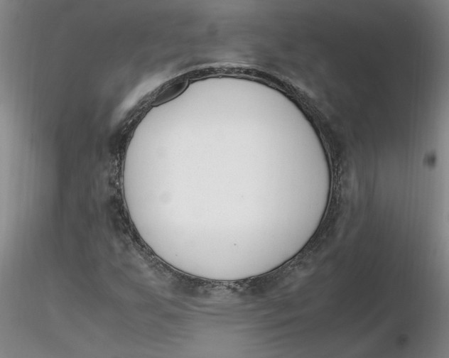 X0000116271255200912211750