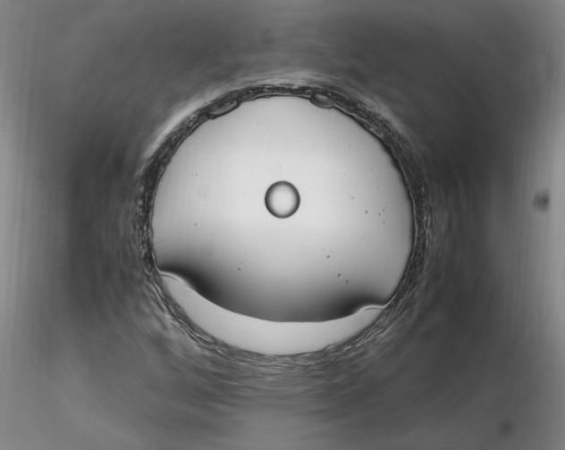 X0000116271256200912211750