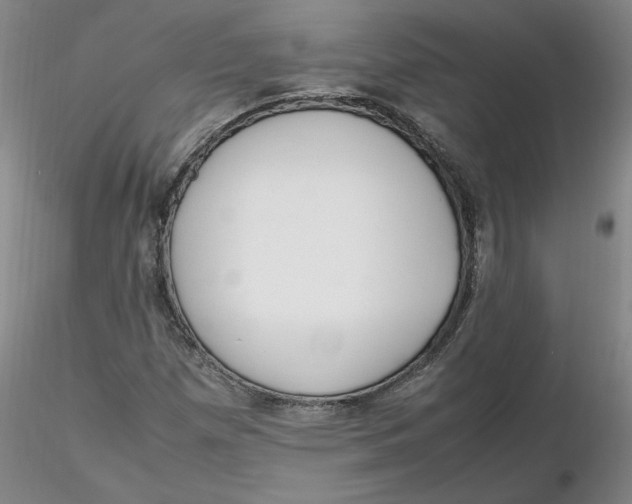 X0000116271257200912211750
