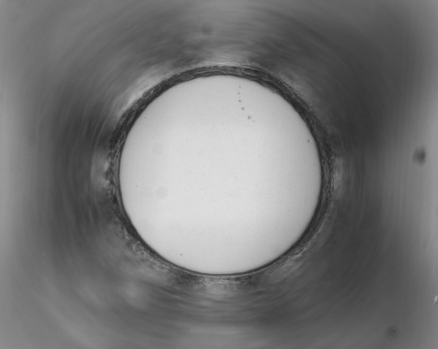 X0000116271258200912211750