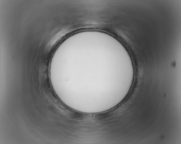 X0000116271259200912211750