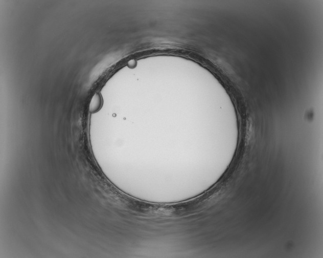 X0000116271261200912211750
