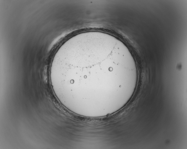 X0000116271262200912211750