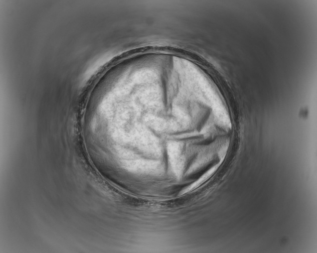 X0000116271263200912211750