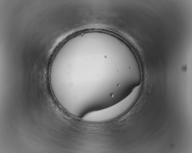 X0000116271264200912211750