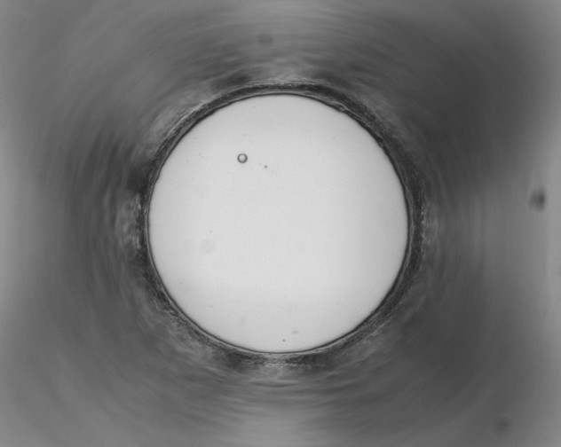 X0000116271265200912211750