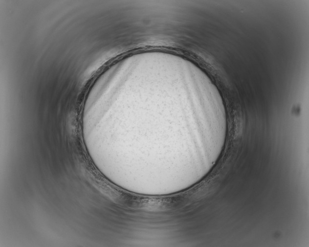 X0000116271266200912211750