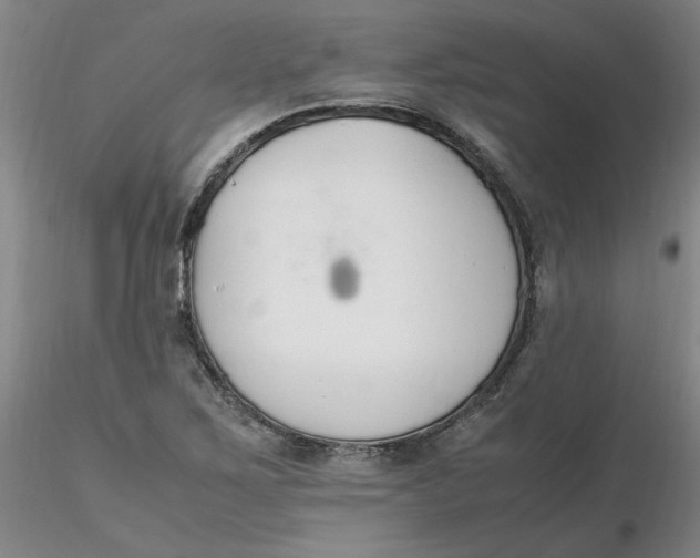 X0000116271267200912211750