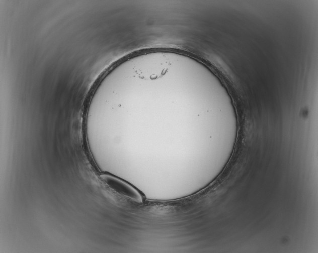 X0000116271268200912211750