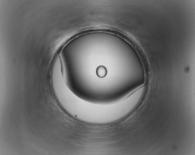 X0000116271269200912211750