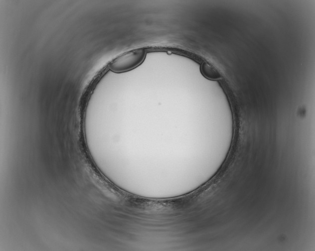 X0000116271270200912211750