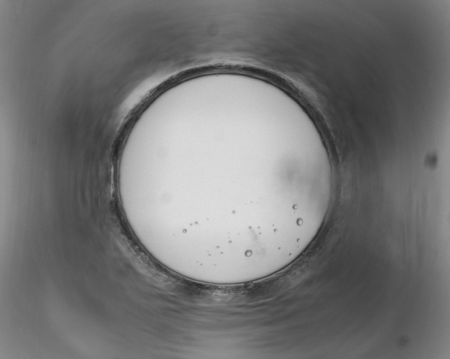 X0000116271271200912211750