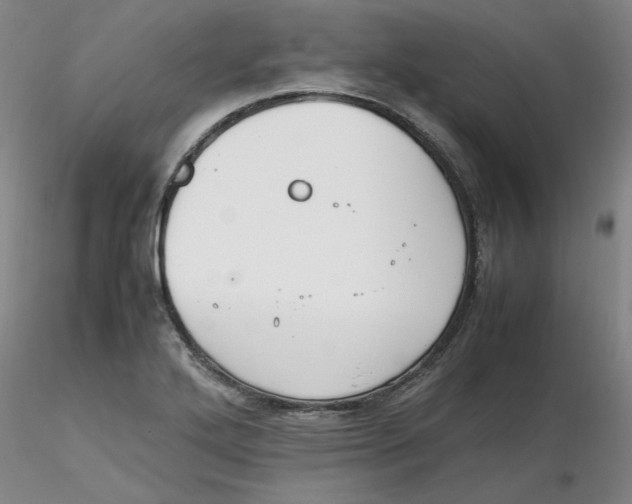 X0000116271272200912211750