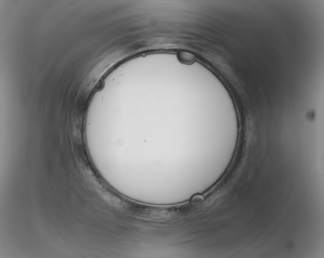 X0000116271273200912211750