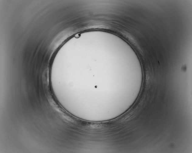 X0000116271274200912211750