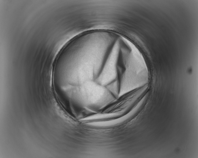 X0000116271276200912211750