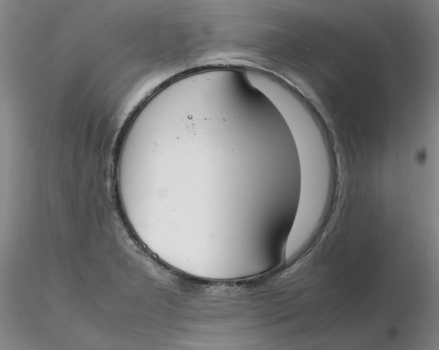 X0000116271277200912211750