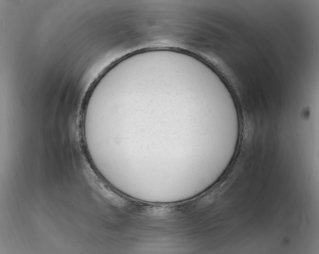 X0000116271278200912211750