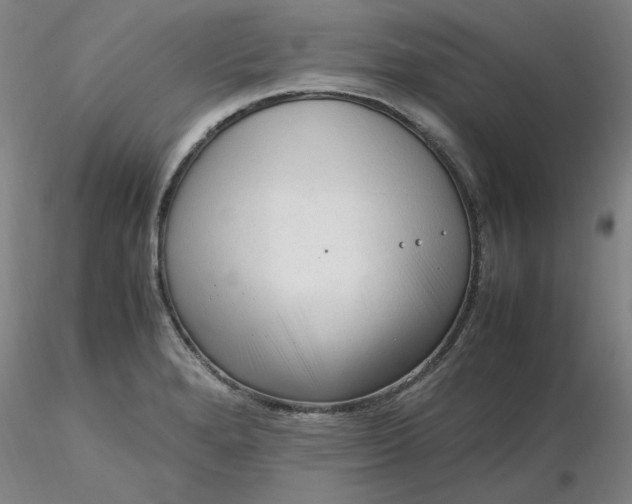 X0000116271280200912211750