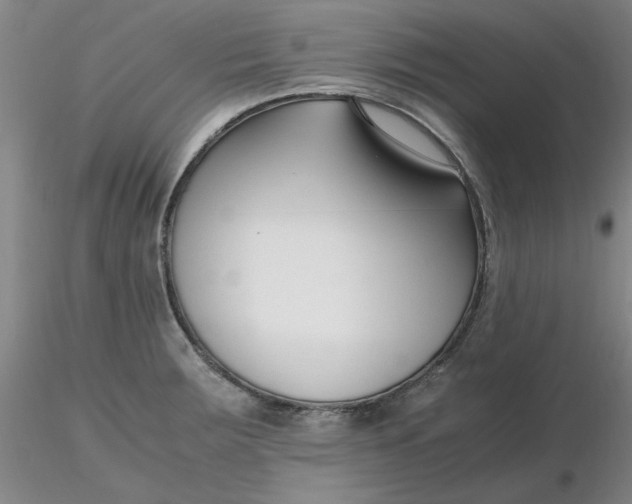 X0000116271283200912211750